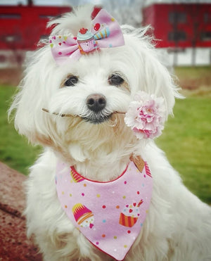 Dog Bandana * Cat Bandana * Sugar Rush