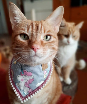 Dog Bandana * Cat Bandana * Be Unicorn