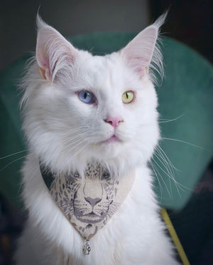 Cat Bandana * On the Prowl