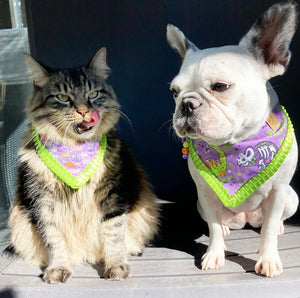 Halloween * Dog Bandana * Cat Bandana * Deadly Dinosaurs