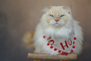 Christmas * Dog Bandana * Cat Bandana * checked * beige * red * Ho-ly moly!