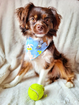 Dog Bandana * Ball is life