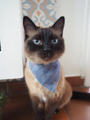 Dog Bandana * Cat Bandana * Dazzling Denim