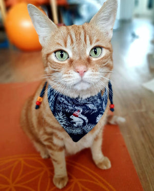 Winter * Dog Bandana * Cat Bandana * Racoon * Squirrel * Fox * blue * white * Winter Wonderland