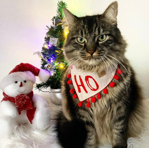 Christmas * Dog Bandana * Cat Bandana * checked * beige * red * Ho-ly moly!