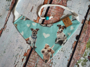 Dog Bandana * Jack-Pack