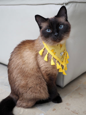 Cat Bandana * Born to be Banana