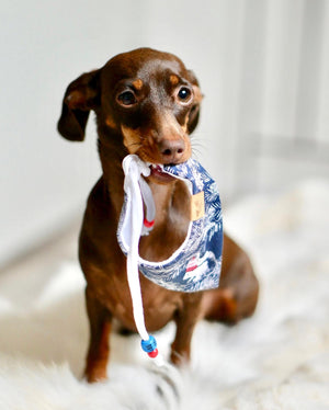 Winter * Dog Bandana * Cat Bandana * Racoon * Squirrel * Fox * blue * white * Winter Wonderland