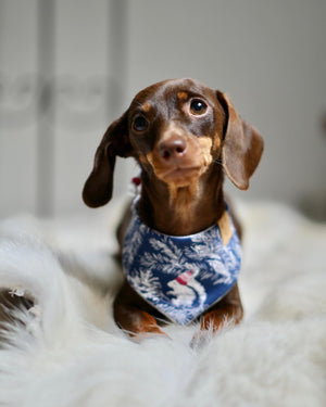 Winter * Dog Bandana * Cat Bandana * Racoon * Squirrel * Fox * blue * white * Winter Wonderland